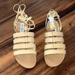 NWOT Steve Madden Gladiator Sandals